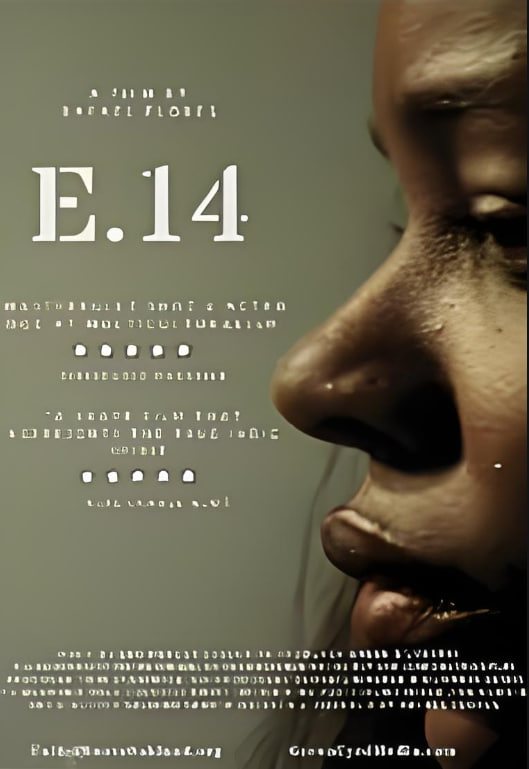 E.14海报